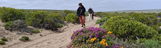 Namaqua strandveld